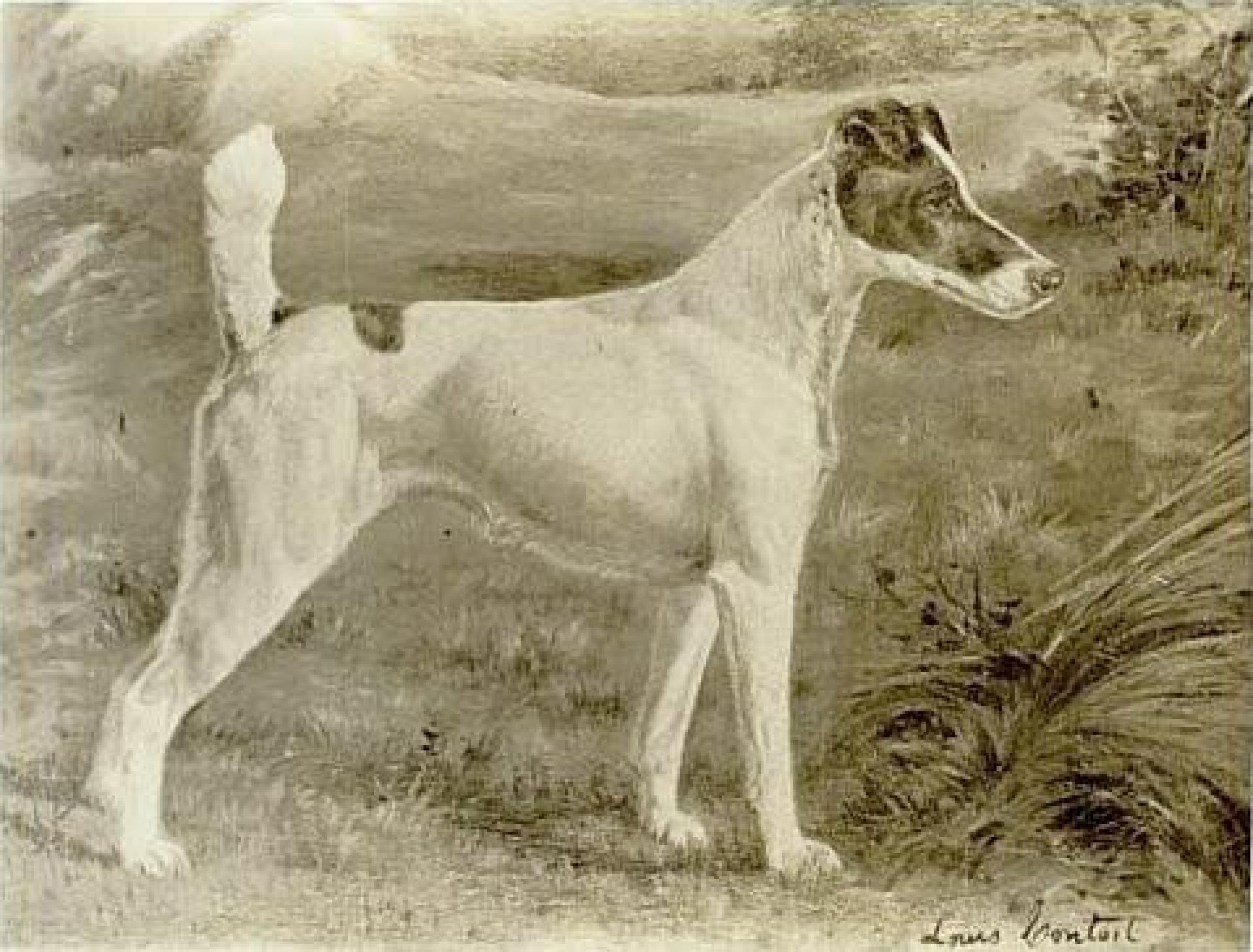 Painting of Warren Remedy, Fox Terrier. First best in show winner at the Westminster Kennel Club Dog show, and the only dog to have won that prize on three occasions. Artist is Gustav Muss-Arnolt, who died in 1927