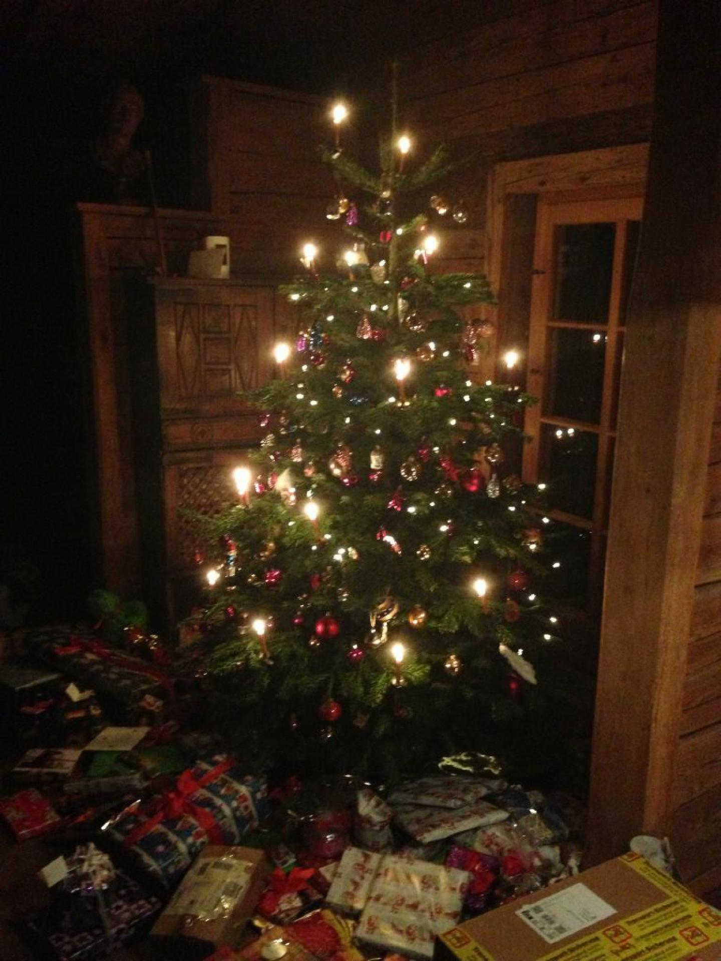 Typischer Leyen'scher Weihnachtsbaum ohne jungen Hund im Haus