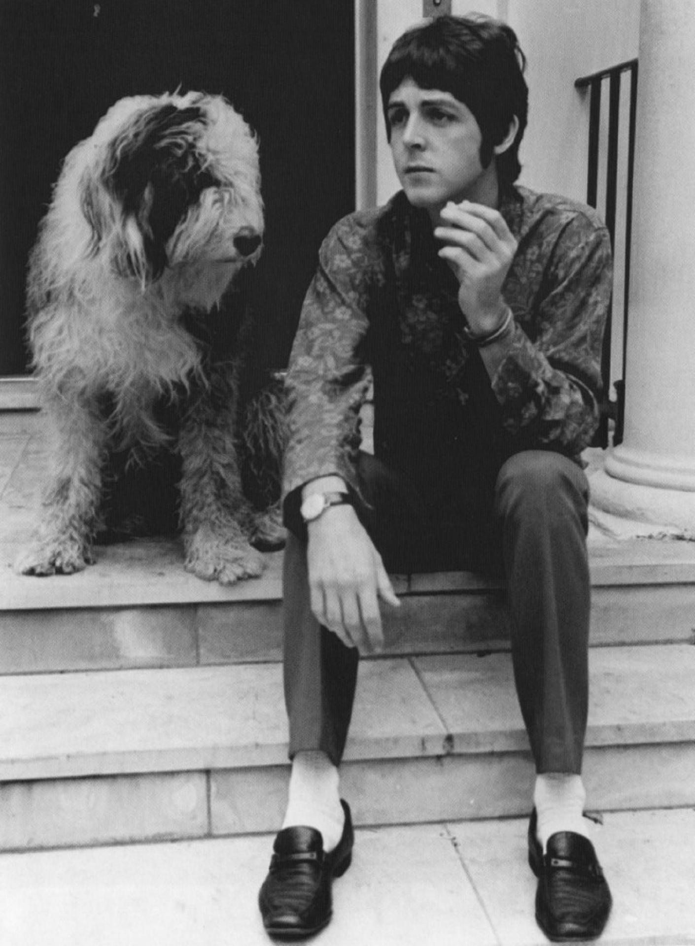 Paul McCartney mit Martha, seinem Bobtail, für den er den Song "Martha, My Dear" komponierte