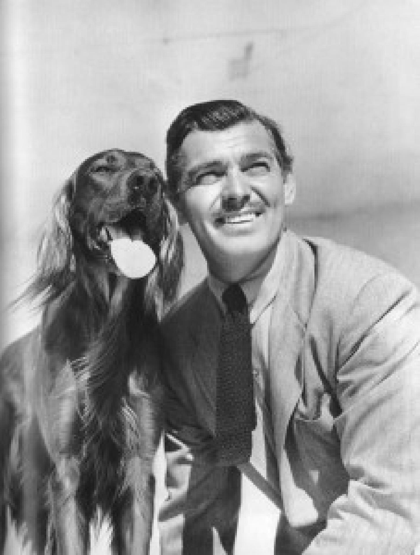 Clark Gable ud sein Setter Lord Reilly, ca. 1941