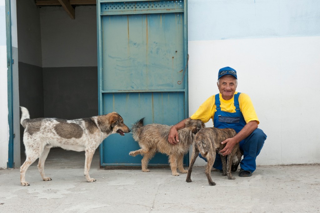 Viele Einheimische unterstützen durch ihre Arbeit das Tierschutz- und Kastrationszentrum in Odessa