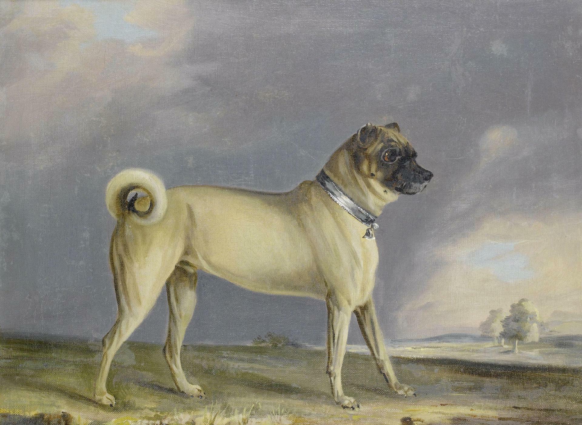 A Pug dog (1802) Henry Bernard Chalon (1770–1849) oil on canvas (51 × 60 cm 