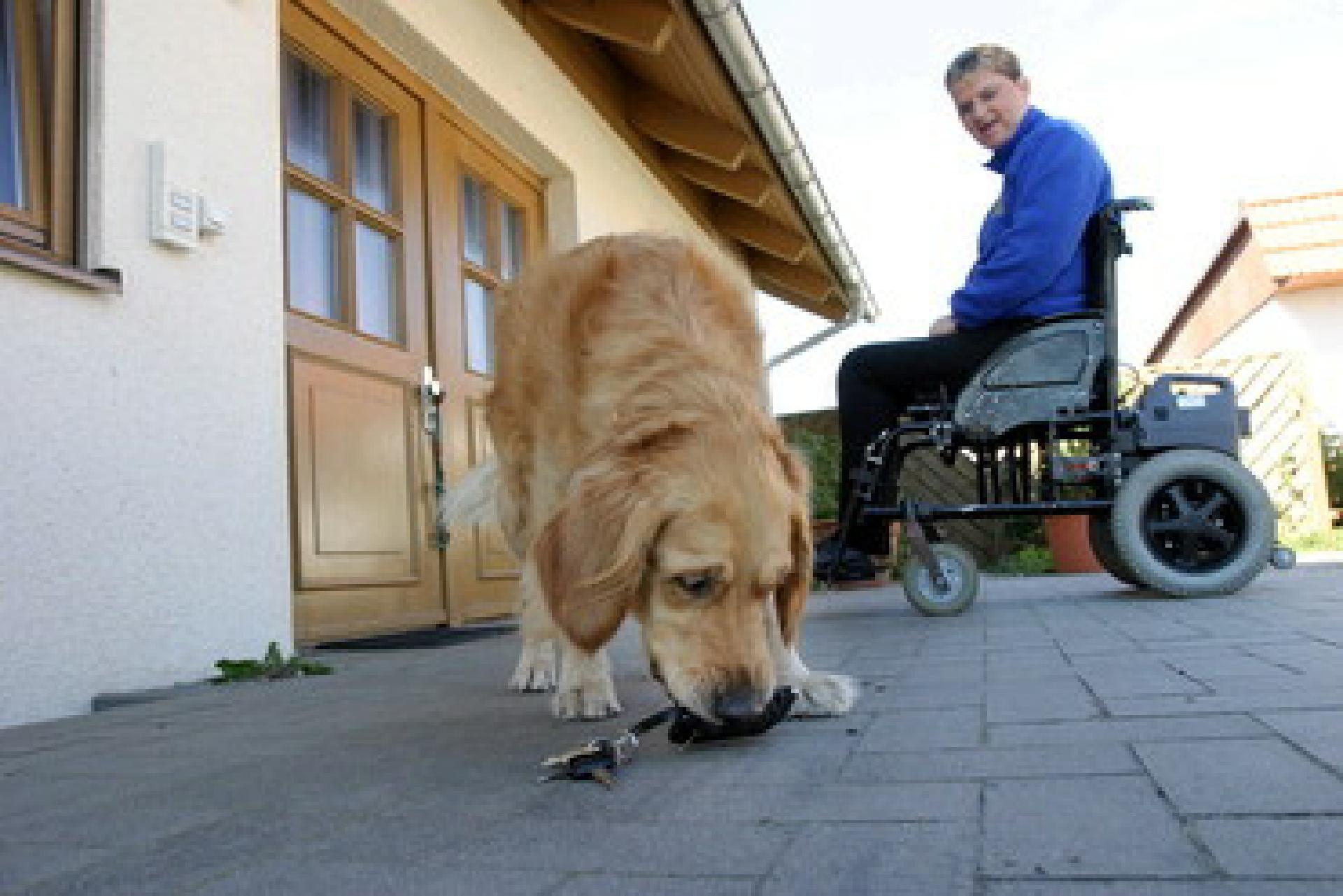 Der Schlüssel zu einem selbstbestimmten Leben: Behinderten-Begleithunde haben wichtige Aufgaben – beispielsweise für ihren Halter den Haustürschlüssel zu apportieren, wenn er herunterfällt. Foto: Mars