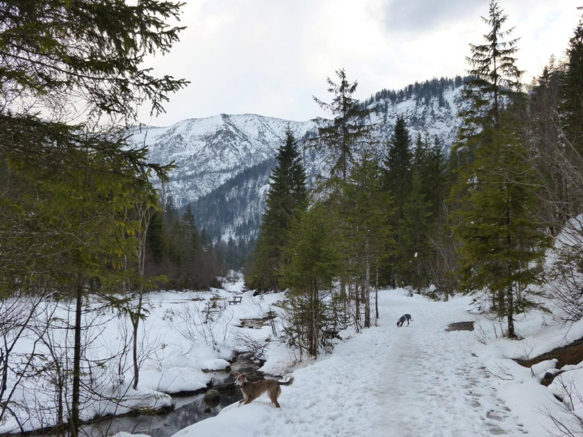 Kreuth, Weg zur Blauberg-Alm