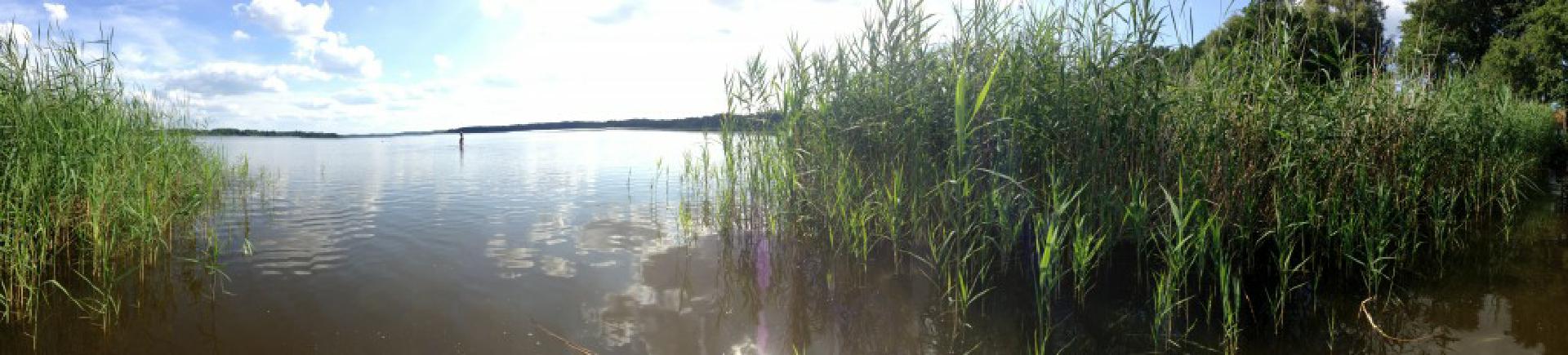 Groß Schauener See