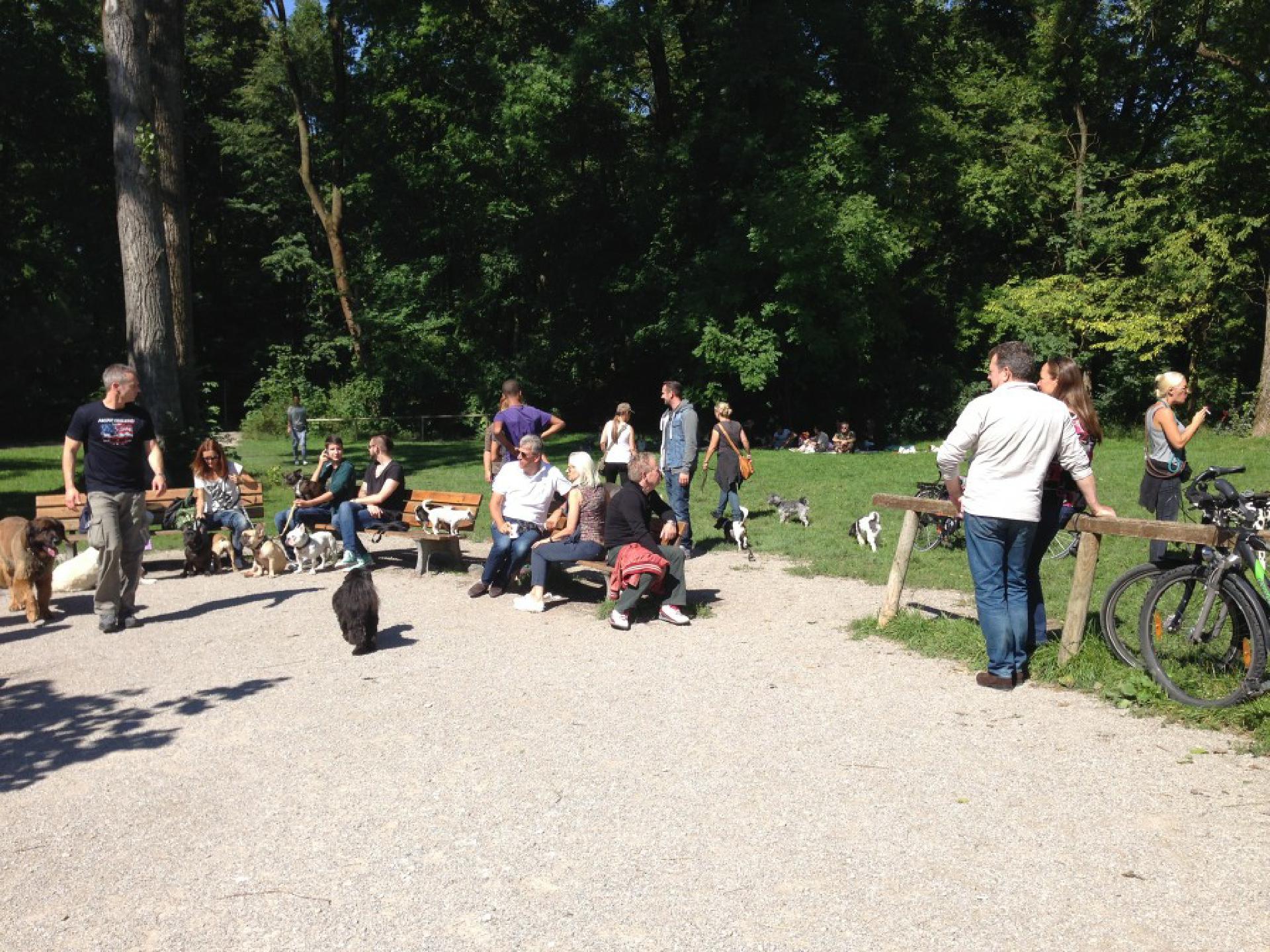 Hunde überall: Englischer Garten in München