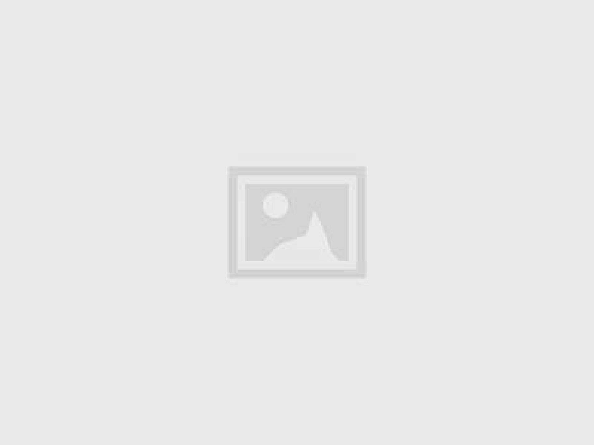 David Hockney Dog Painting 22_0001